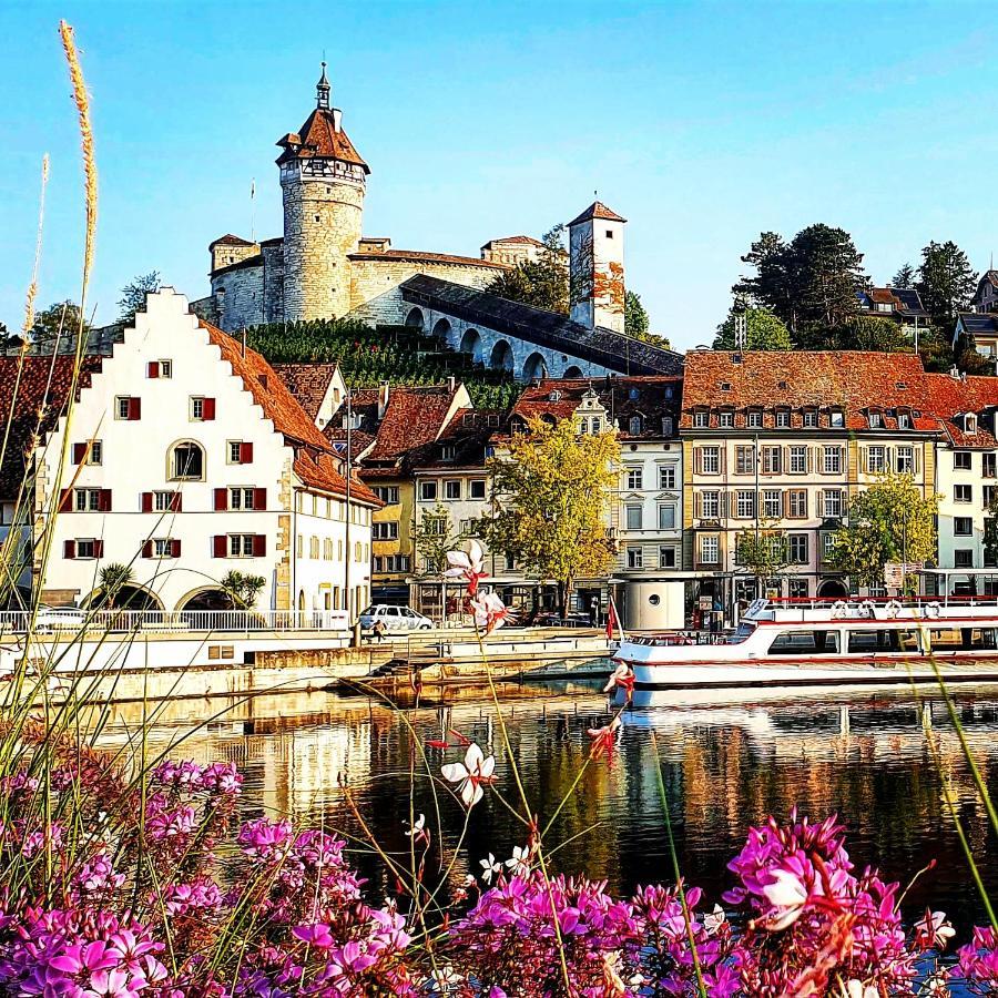 Apartment Suedwind - Beautiful Premium Apartment With 2 Bedrooms Near Rhine Falls & Zurich Airport In Klettgau Weisweil (Klettgau) Exterior foto